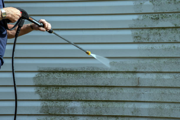 Roof Power Washing Services in Cheval, FL